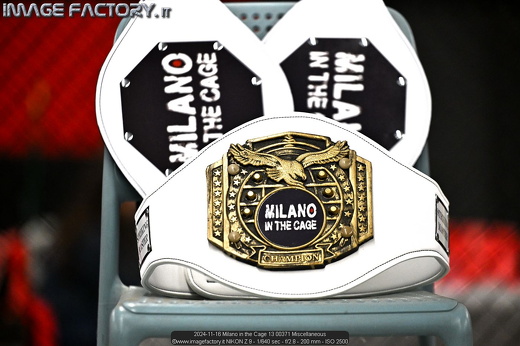 2024-11-16 Milano in the Cage 13 00371 Miscellaneous